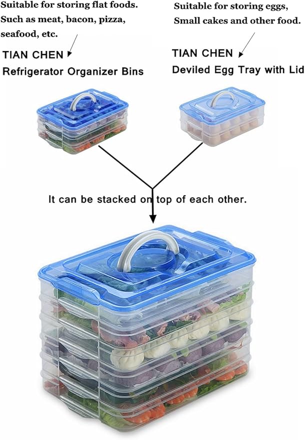 Deviled Egg Tray with Lid, 2-Layer, Food Storage Container with Handle, Egg Holder for Refrigerator, large, 40 eggs (Blue)
