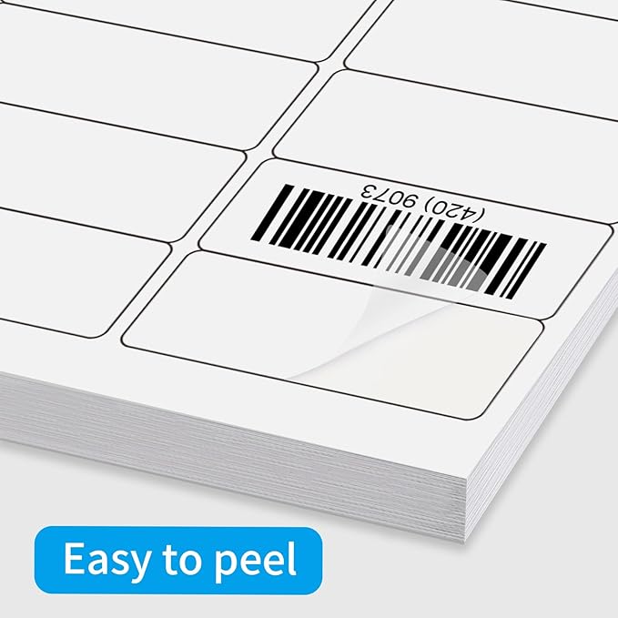YEGAWEN Transparent Stickers Labels - 1" x 2-5/8" Clear Address Labels Mailing Stickers for Laser/Inkjet Printer 8.5"×11"- 20 Sheet/ 600 Label