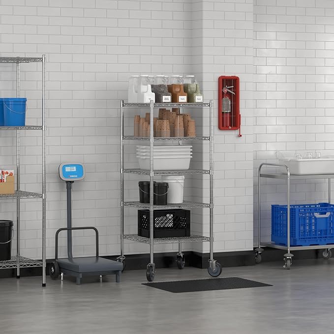 Commercial NSF Listed Chrome Mobile Wire Shelving Kit 24" x 24" x 60", with 5 Shelves Perfect for Warehouse, Walk-in Refrigerator, Freezer, Grocery Store, Restaurant, Dishroom