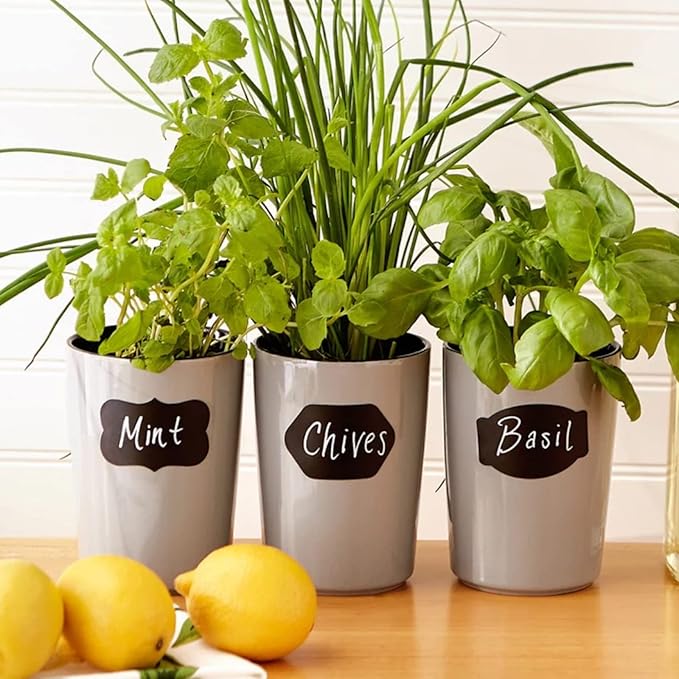 JEFURE 120 Pcs Chalkboard Labels for Storage Bins, Chalk Labels for Containers, Waterproof Mason Jar Labels, Reusable Chalk Labels for Mason Jar, Parties Decoration, Weddings, 2 Liquid Markers