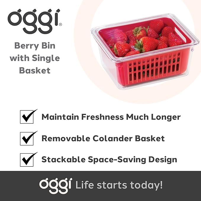 Oggi 5169 Berry Bin - Single Basket, Red