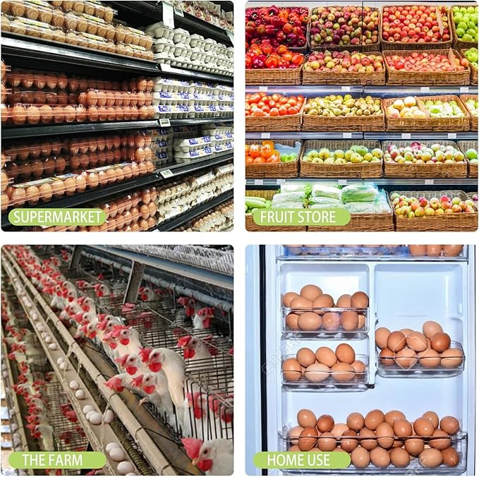 Ecjiuyi 50PCS Egg Cartons,Eco-friendly Clear Plastic Blank Egg Carton Bulk,Holds Up to 12 Eggs Securely,Refrigerator Egg Tray Storage for Family Pasture Chicken Farm Business Market