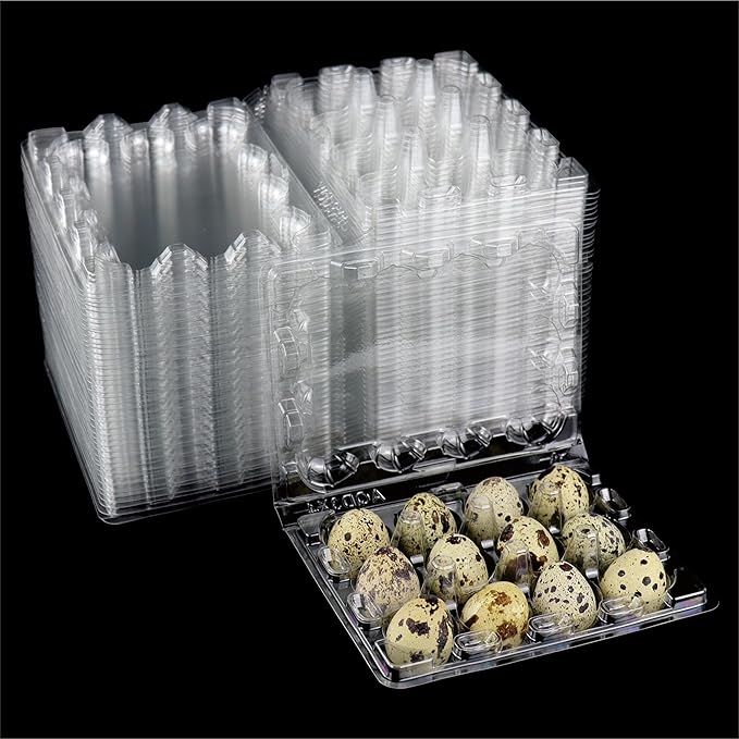 Loving Basso 50 PCS Quail Egg Cartons Plastic Bulk,12 Grids Clear Storage Holders with Lids and Rubber Band,Stackable Quail Eggs Trays for Quail,Pheasant,Pigeon Eggs