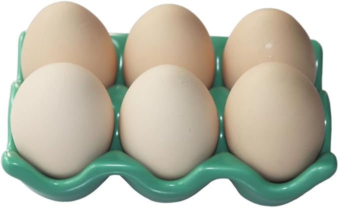 Ceramic Egg Holder Egg Tray Porcelain Fresh Egg Holder for Fridge Countertop Kitchen Storage Half Dozen 6 Cups