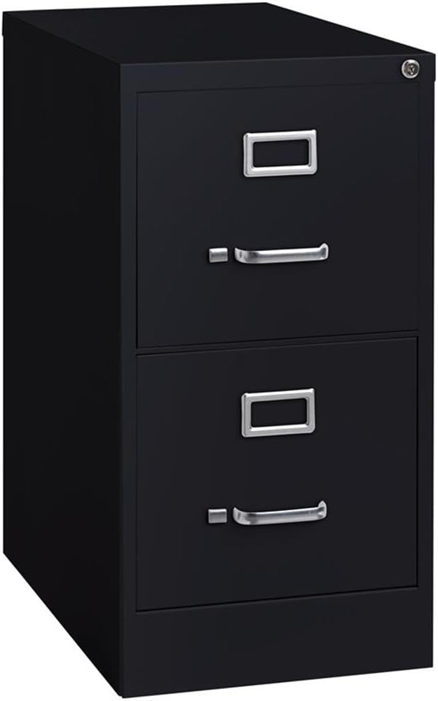 Pemberly Row 2 Drawers 28.38" Vertical Black Metal Filing Cabinet Lockable Pre-Assembled Stationary Letter Size for Home, Office