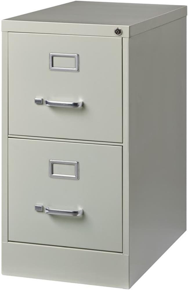 Pemberly Row 25" 2-Drawer Metal Letter Width Vertical Filing Cabinet in Gray
