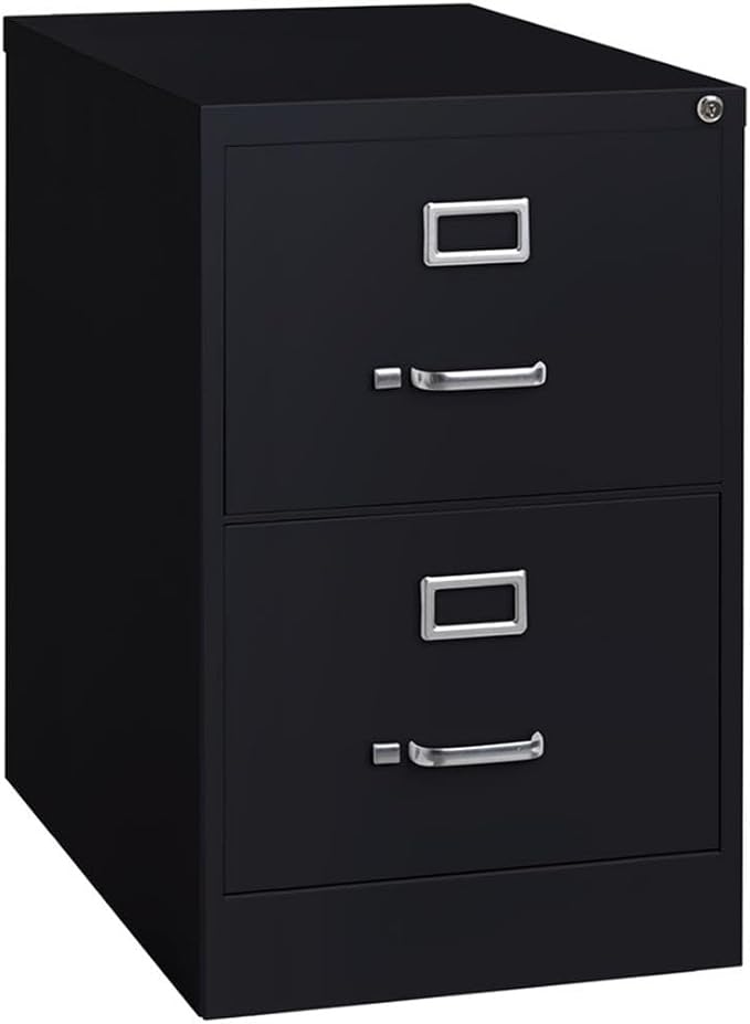 Scranton & Co 25" 2-Drawer Metal Legal Width Vertical Filing Cabinet in Black