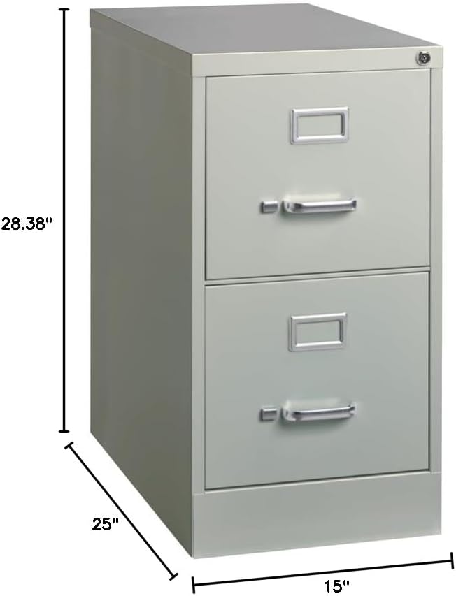 Pemberly Row 25" 2-Drawer Metal Letter Width Vertical Filing Cabinet in Gray