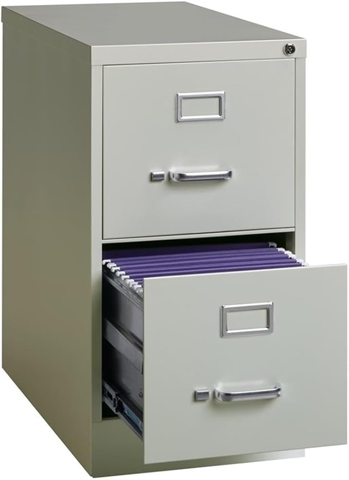 Pemberly Row 25" 2-Drawer Metal Letter Width Vertical Filing Cabinet in Gray