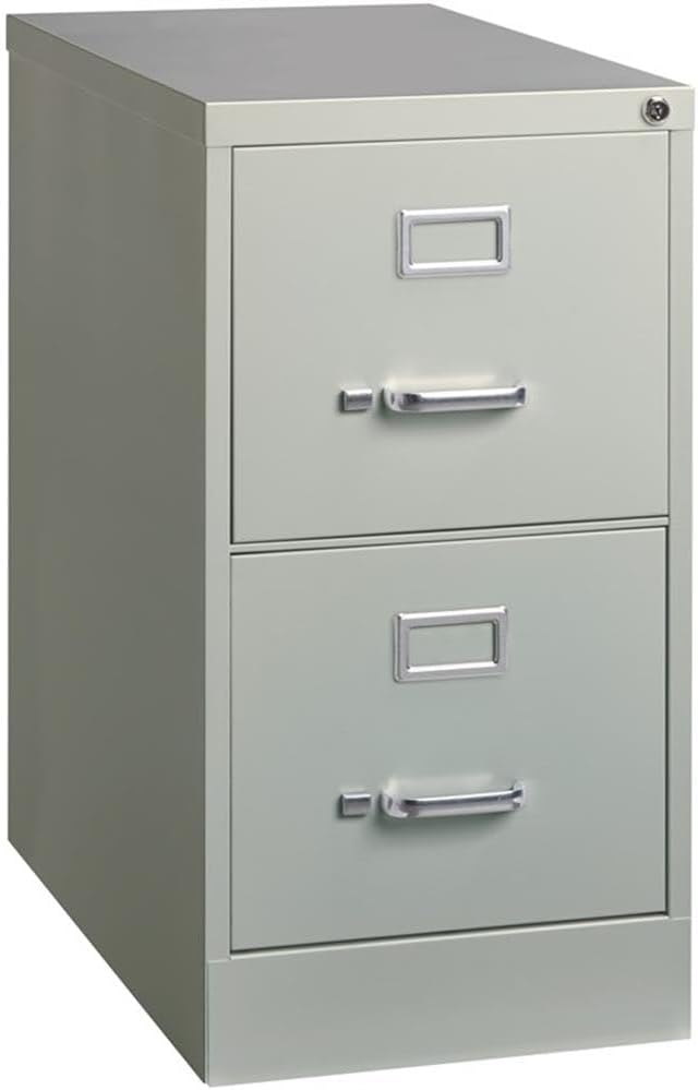 Pemberly Row 25" 2-Drawer Metal Letter Width Vertical Filing Cabinet in Gray