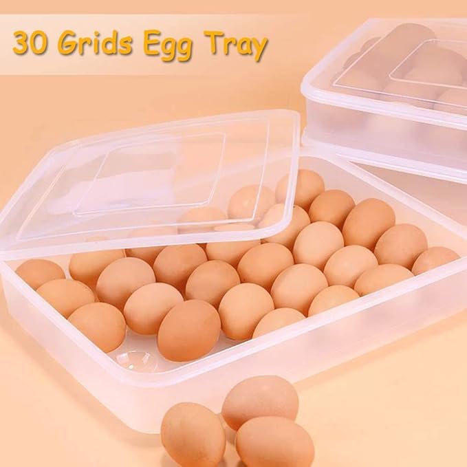 Covered Egg Holder for Refrigerator,30 Deviled Egg Tray with Lid,Plastic Egg Containers,Fridge Egg Dispenser Egg Storage Box