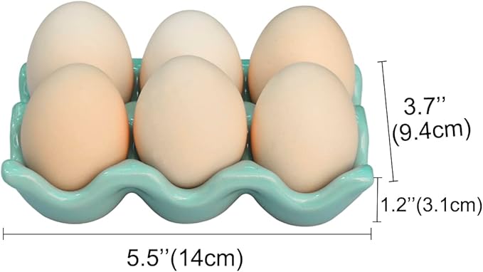 Ceramic Egg Holder Egg Tray Porcelain Fresh Egg Holder for Fridge Countertop Kitchen Storage Half Dozen 6 Cups