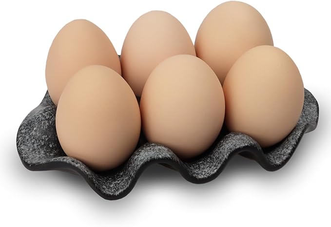 DOBROGOST Ceramic 6 Cups Egg Tray,Half Dozen Porcelain Egg Holder Container Keeper Storage Organizer, Decorative Serving Stand Serveware for Refrigerator Fridge Countertop Display Kitchen (black)