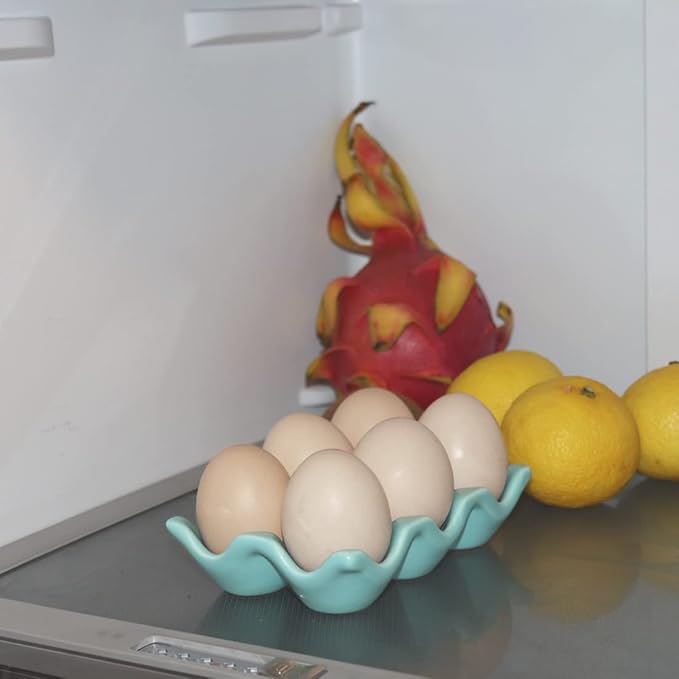 Ceramic Egg Holder Egg Tray Porcelain Fresh Egg Holder for Fridge Countertop Kitchen Storage Half Dozen 6 Cups