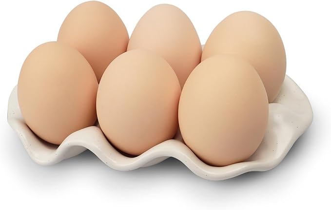 Ceramic 6 Cups Egg Tray,Half Dozen Porcelain Egg Holder Container Keeper Storage Organizer, Decorative Serving Stand Serveware for Refrigerator Fridge Countertop Display Kitchen (white)
