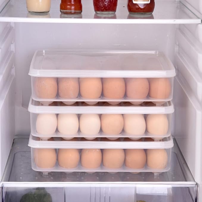 VERDANVERSE 2pcs Refrigerator Egg Storage Box with Lid, 24-Grid Protective Egg Holder Tray Set for Fridge Organization and Freshness Preservation