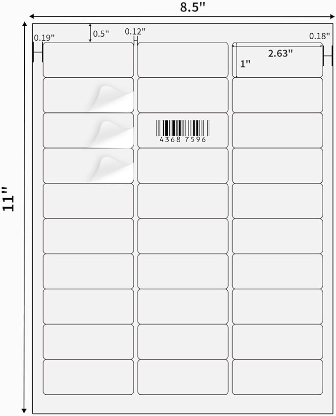 YEGAWEN Transparent Stickers Labels - 1" x 2-5/8" Clear Address Labels Mailing Stickers for Laser/Inkjet Printer 8.5"×11"- 20 Sheet/ 600 Label