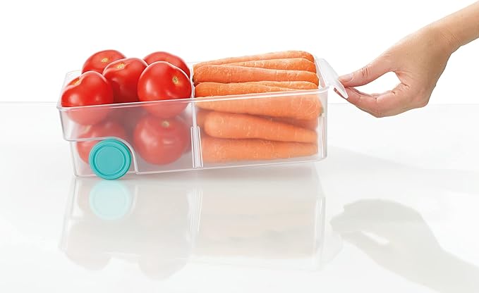 Joseph Joseph FridgeStore Fridge Storage Bin, Large, Clear/Blue