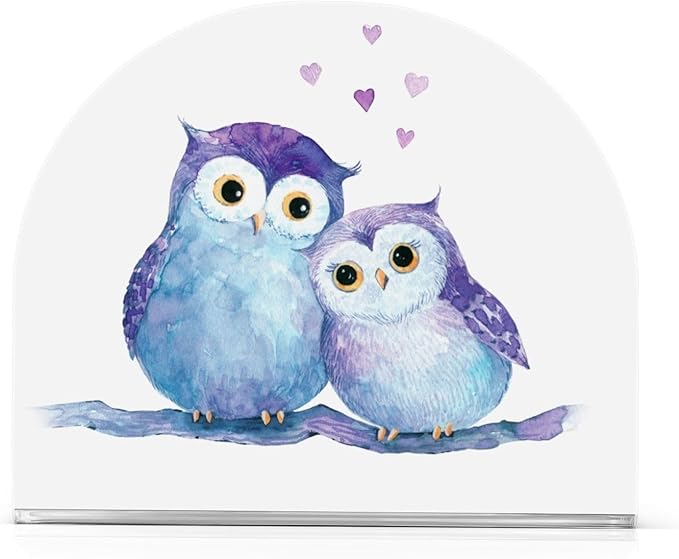 Cute Owl Napkin Holder for Table Paper Napkins Holder Acrylic Tissue Dispenser Kitchen Dining Room Bathroom Party Car Decor