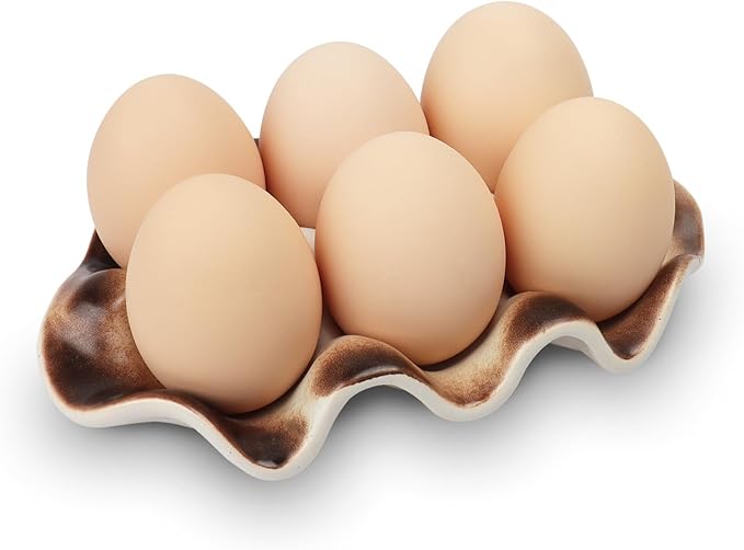 Ceramic 6 Cups Egg Tray,Half Dozen Porcelain Egg Holder Container Keeper Storage Organizer, Decorative Serving Stand Serveware for Refrigerator Fridge Countertop Display Kitchen (Brown)