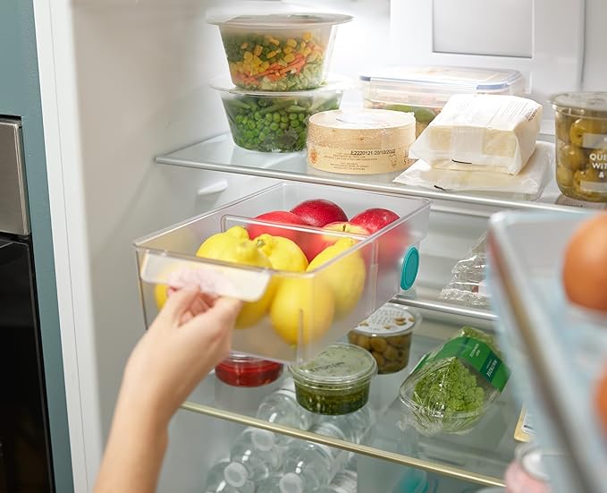 Joseph Joseph FridgeStore Fridge Storage Bin, Large, Clear/Blue