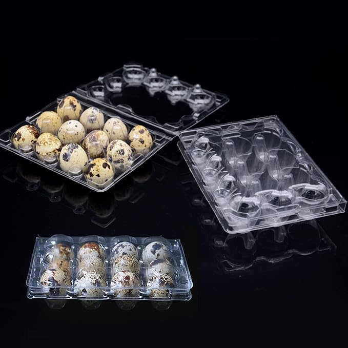 SINJEUN 150 Pack 12 Grids Clear Quail Egg Carton, Mini Plastic Quail Egg Storage Holder with Lid, Stackable Quail Eggs Bulk Carton Trays for Pheasant Pigeon Eggs