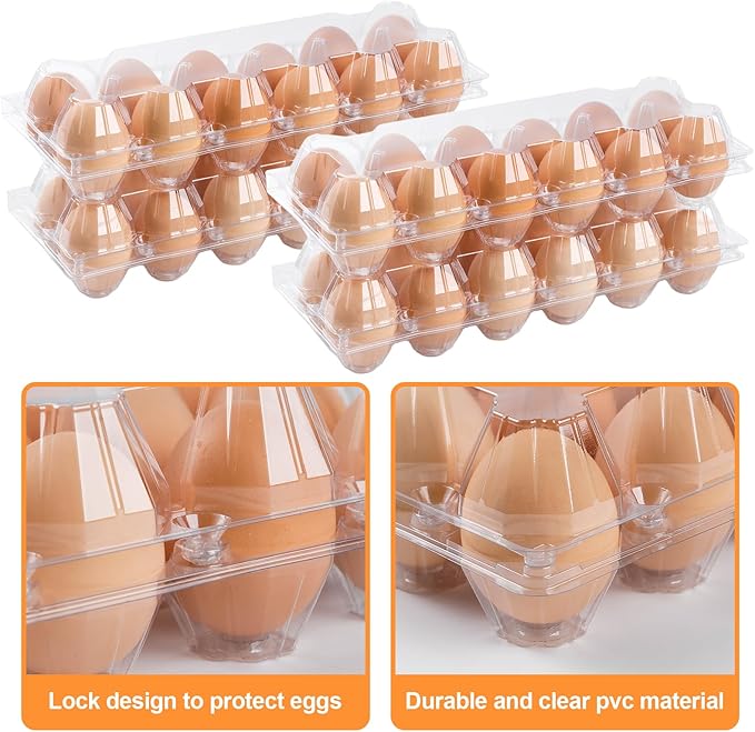 AYAYGD 40 Pack Clear Egg Cartons Cheap Bulk,Plastic Egg Carton Bulk 12 Count,Reusable Egg Holder, Medium Egg Containers for Chicken Eggs 2x6 Grids