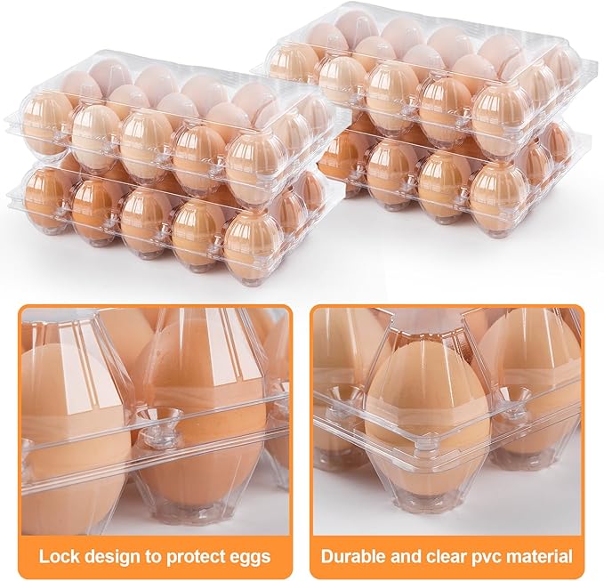 AYAYGD 55 Pack Clear Egg Cartons Cheap Bulk,Plastic Egg Carton Bulk 15 Count,Reusable Egg Holder, Medium Egg Containers for Chicken Eggs 3x5 Grids