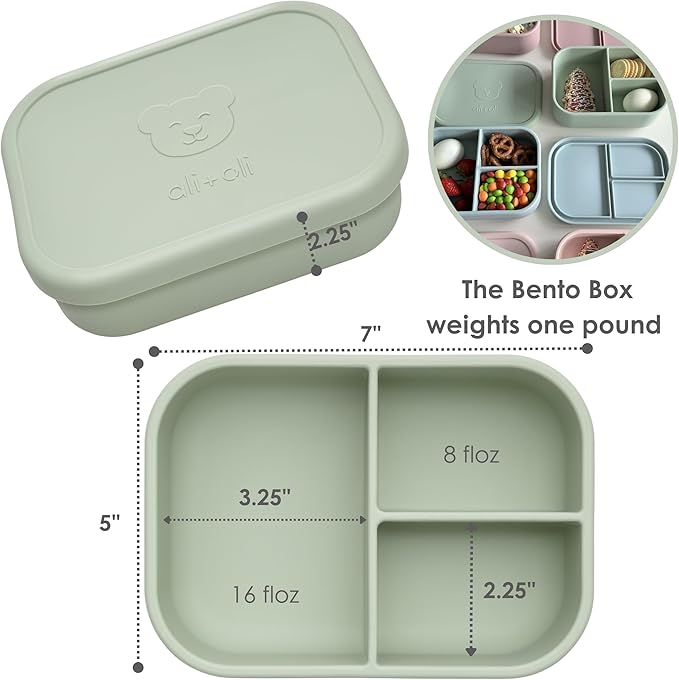 Ali+Oli Silicone Bento Box (Pine) Lunch Box for Kids, Toddlers, Preschoolers & Adults | BPA-Free and Spill-Proof | Ideal for School, and On-the-Go Meals| Perfect for Lunch, Snacks, and Meals