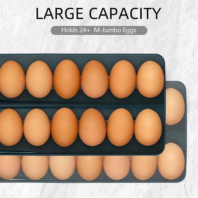 Egg Holder for Fridge Automatic Rolling Egg Dispenser for Refrigerator Kitchen Countertop - Space-saving Egg Roller/Organizer/Storage/Container/Tray for Fridge Double Track