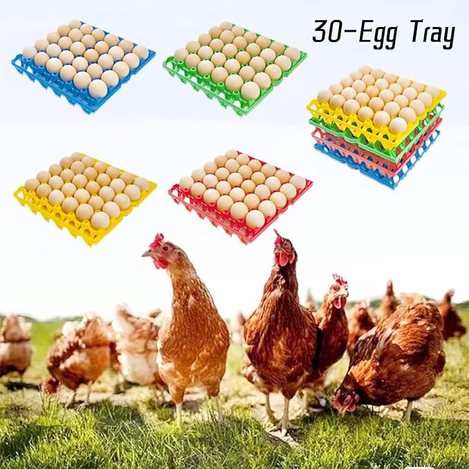 George Garden 4-Pack Plastic Egg Tray Egg Crates, 30-Egg Flats, Stackable, Durable, Reusable, Green