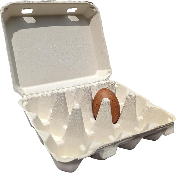 Vintage Egg Cartons for 12 Large Eggs – Classic 3x4 Layout – Durable Recycled Cardboard – Farmhouse Style – Eco-Friendly Packaging - White 200 Pack