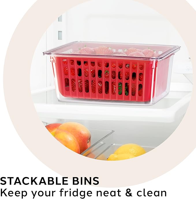 Oggi 5169 Berry Bin - Single Basket, Red