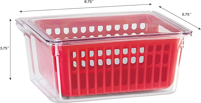 Oggi 5169 Berry Bin - Single Basket, Red