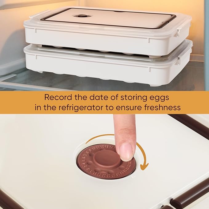 77L Deviled Egg Containers with Lid, (Set of 2), Plastic Deviled Egg Tray Carrier with Handle for 48 Eggs, Clear Storage Egg Platter for Devil Egg, Fridge Stackable Portable Egg Holder (Transparent)