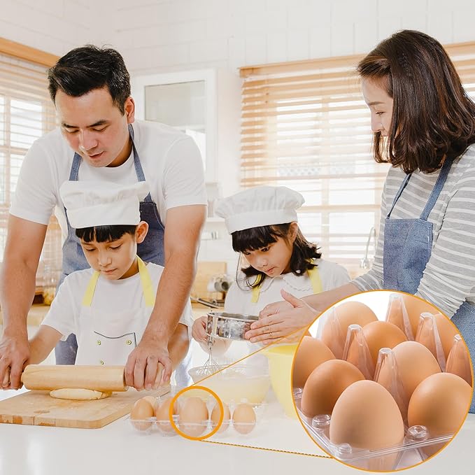 180 Pack Egg Cartons 6 Count, Clear Plastic Egg Cartons Cheap Bulk for Chicken Eggs, Reusable Egg Holder Container for Family, Chicken Farm and Markets, Medium
