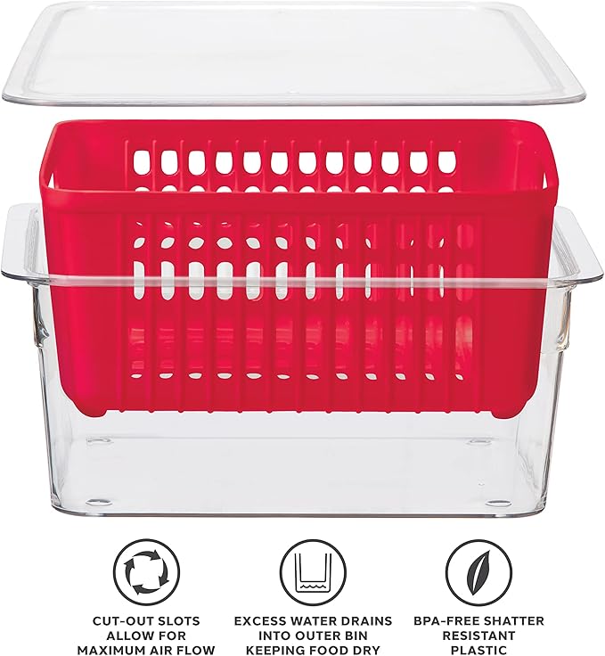 Oggi 5169 Berry Bin - Single Basket, Red