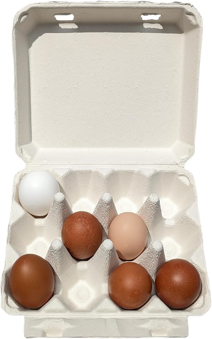 Vintage Egg Cartons for 12 Large Eggs – Classic 3x4 Layout – Durable Recycled Cardboard – Farmhouse Style – Eco-Friendly Packaging - White 200 Pack