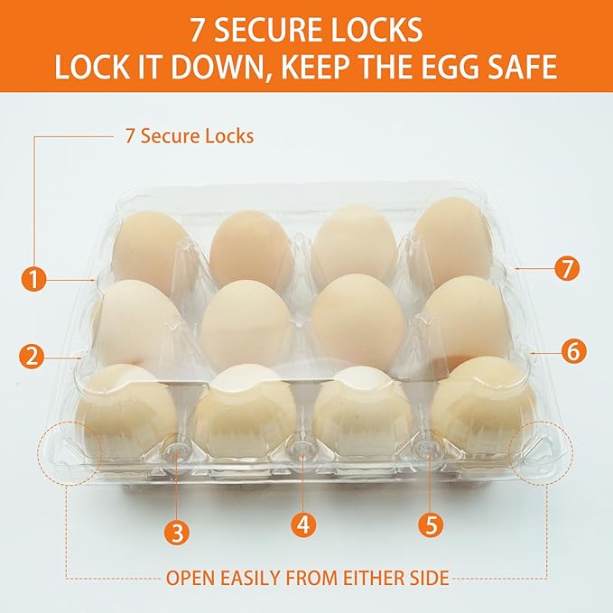 100 Pack 3x4 Plastic Egg Cartons Bulk 12 Count Clear, Reusable Stackable Dozen Chicken Eggs Containers Holders for Storage, Family, Farm Markets and Commercial Display
