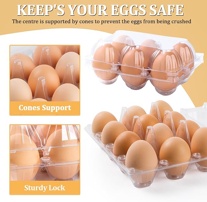 APOCHON 200PCS Clear Plastic Egg Cartons 6 Count,Half Dozen Egg Cartons Cheap Bulk for Chicken Eggs,Reusable Egg Holder for Family,Pasture,Farm Markets Display - Medium Egg Containers 2x3 Grids