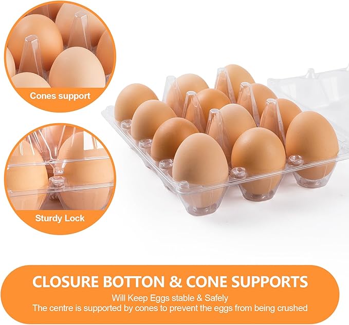 AYAYGD 40 Pack Clear Egg Cartons Cheap Bulk,Plastic Egg Carton Bulk 12 Count,Reusable Egg Holder, Medium Egg Containers for Chicken Eggs 2x6 Grids