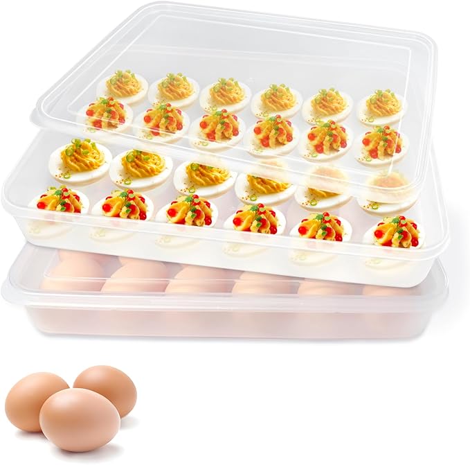 2 Pack Deviled Egg Containers with Lid,Clear Portable Storage Carrier Egg Holder,Stackable Plastic Egg Tray Carrier for Fridge,Kitchen,Keep Fresh(48 Eggs)