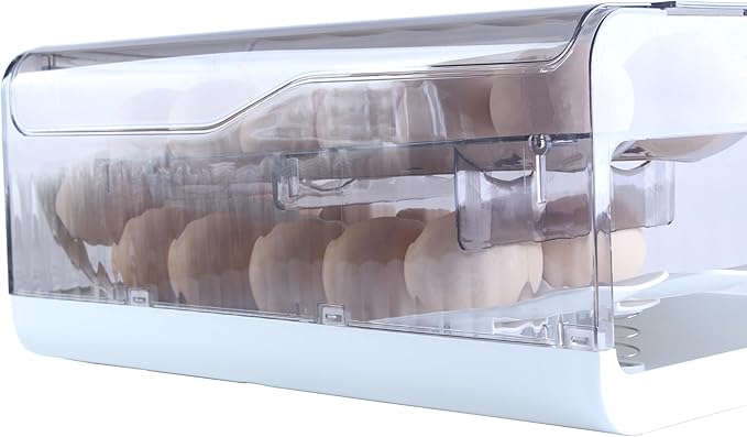 Sansam Egg Holder for Fridge, Automatic Rolling Egg Organizer for Refrigerator, Plastic Egg Container & Tray, Stackable Dispenser and Storage Bin with Sturdy Lid to Saving Space (Grey)