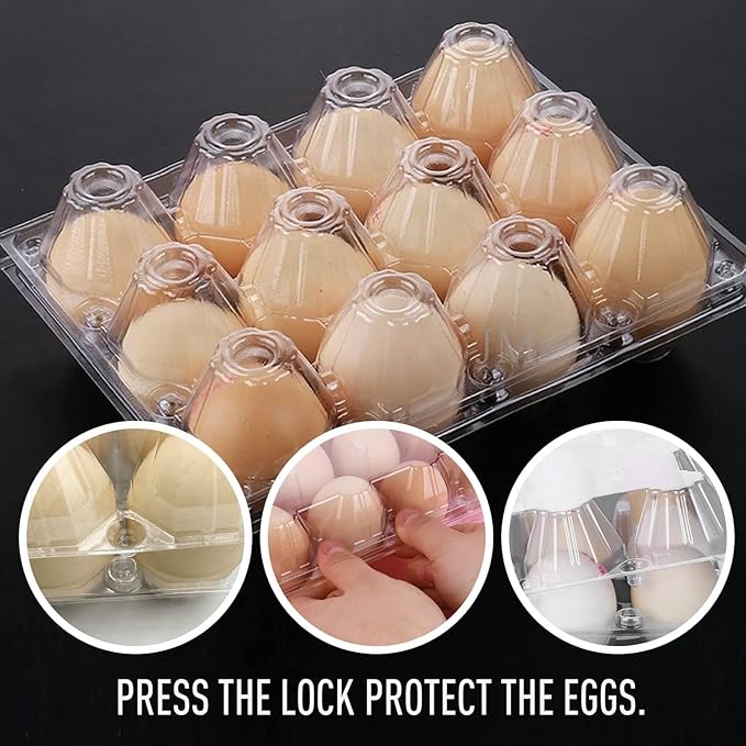 Ecjiuyi 50PCS Egg Cartons,Eco-friendly Clear Plastic Blank Egg Carton Bulk,Holds Up to 12 Eggs Securely,Refrigerator Egg Tray Storage for Family Pasture Chicken Farm Business Market