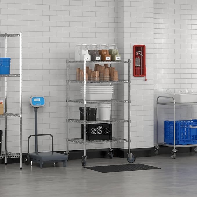 Commercial NSF Listed Chrome Mobile Wire Shelving Kit 24" x 30" x 60", with 5 Shelves Perfect for Warehouse, Walk-in Refrigerator, Freezer, Grocery Store, Restaurant, Dishroom