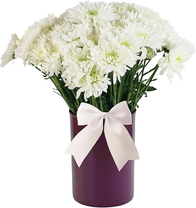Reston Lloyd Calypso BasicsMultipurpose Cookware Storage Crock, Kitchen Countertop & Office Desk Organization, Durable & Food Safe BPA-Free Plastic, Plum