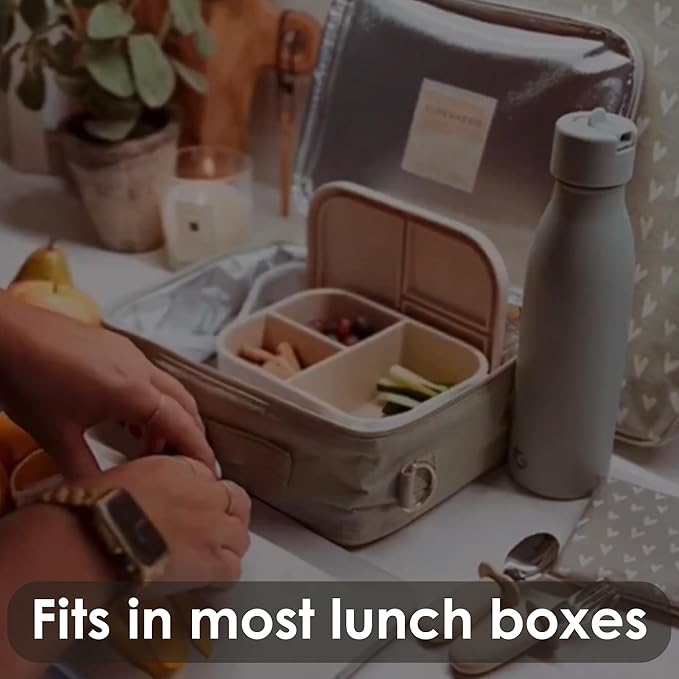 Ali+Oli Silicone Bento Box (Coconut) Lunch Box for Kids, Toddlers, Preschoolers & Adults | BPA-Free and Spill-Proof | Ideal for School, and On-the-Go Meals| Perfect for Lunch, Snacks, and Meals