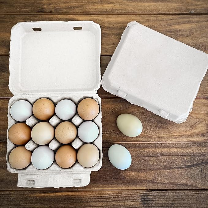 Vintage Egg Cartons for 12 Large Eggs – Classic 3x4 Layout – Durable Recycled Cardboard – Farmhouse Style – Eco-Friendly Packaging - White 200 Pack