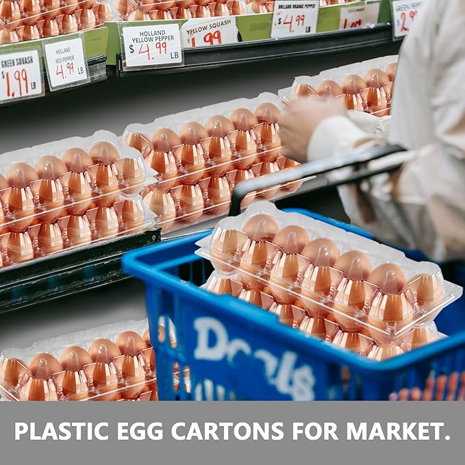 YIFIHGE 120PCS Egg Cartons Cheap Bulk, Clear Egg Cartons for Chicken Eggs, Reusable Chicken Egg Container Bulk Egg Holders with Labels for Refrigerator, Storage, Family, Chicken Farm, Market
