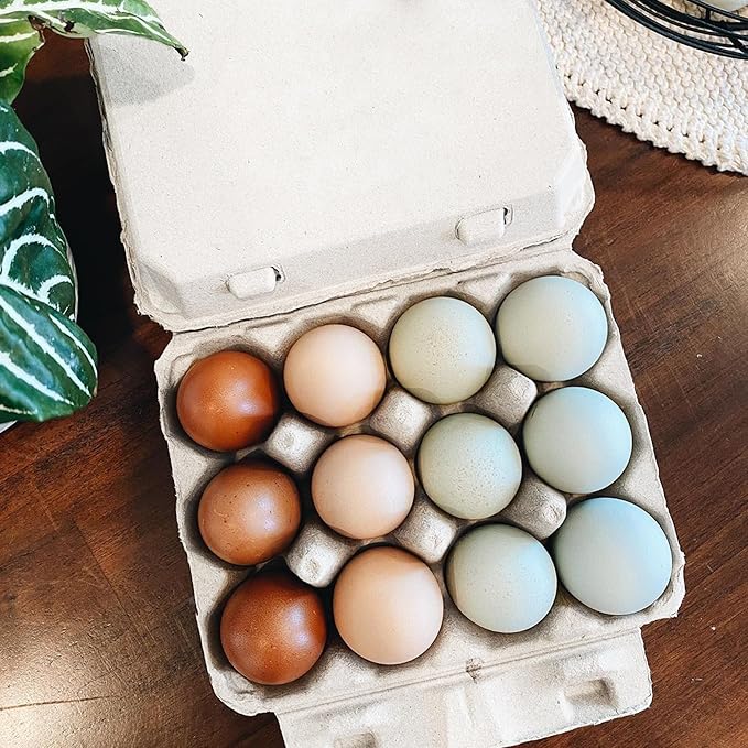 Vintage Egg Cartons for 12 Large Eggs – Classic 3x4 Layout – Durable Recycled Cardboard – Farmhouse Style – Eco-Friendly Packaging - White 200 Pack